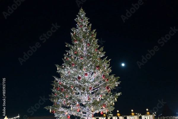 Obraz 横浜赤レンガクリスマスマーケットのクリスマスツリー