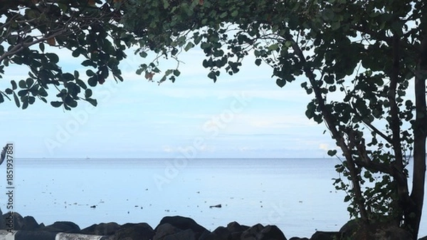 Obraz Sea view with green trees frame
