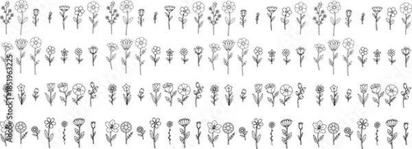 Obraz set of vector flowers