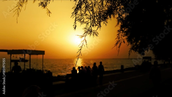 Obraz Sunset Through Tree Branches By The Sea