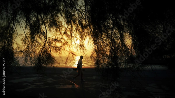 Obraz Walking Silhouette Framed By Trees At Sunset