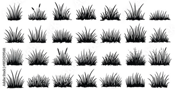 Obraz Collection of diverse black silhouette grass clumps perfect for landscape design and nature graphics