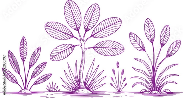 Fototapeta Purple Water Plants with Detailed Leaves Growing in Shallow Water nature