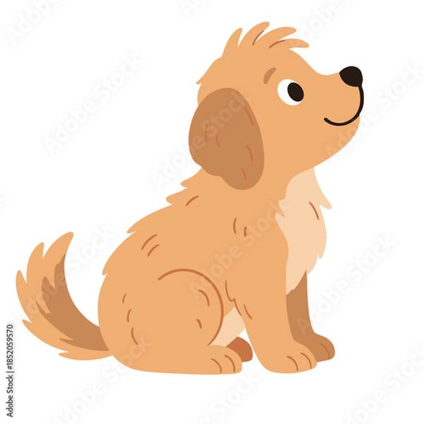 Fototapeta Puppy Looking Up