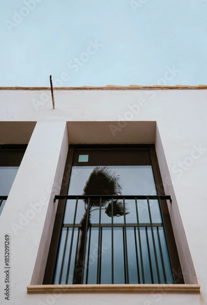 Obraz Palmera reflejada en ventana