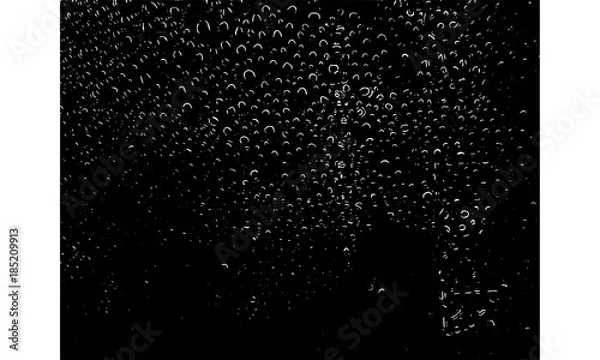 Fototapeta water sponge texture, 