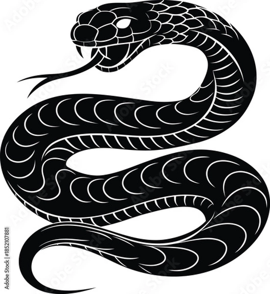 Obraz snake on a black background