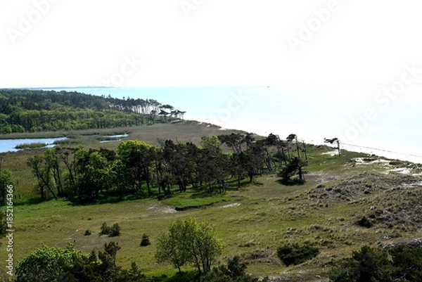 Obraz Küstenwald Westküste, Blick vom Leuchtturm Darßer Ort  