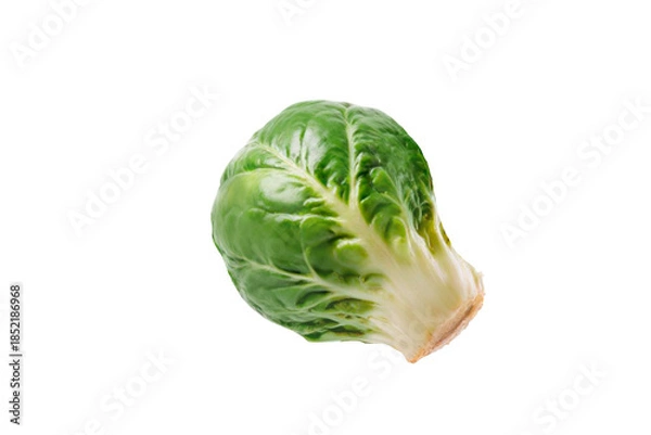 Obraz cabbage isolated on white