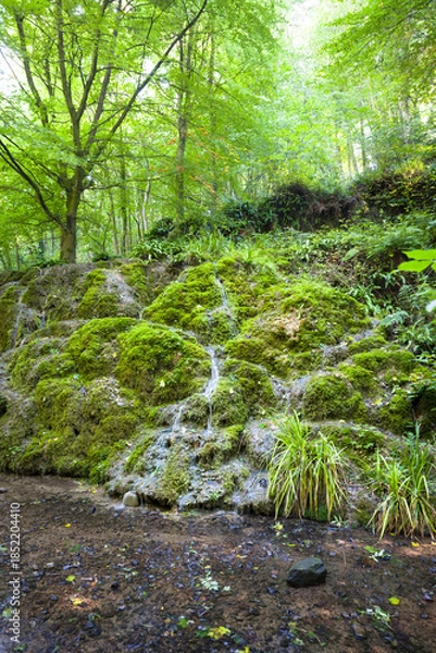 Obraz Alum Spring waterfall in Hackfall Woods, Yorkshire Dales, UK