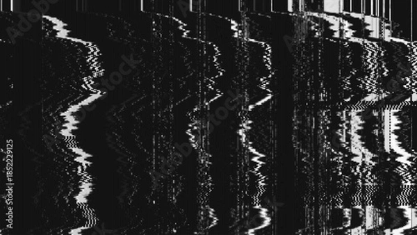 Obraz Black and White VHS Glitch Background