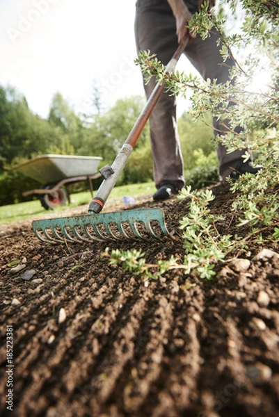 Obraz Gardening