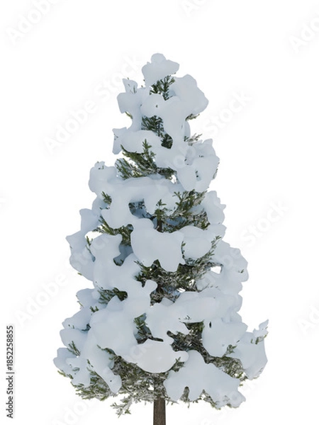 Obraz Snow-Covered Evergreen Tree on White Background