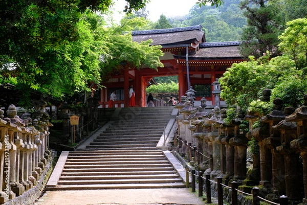 Obraz 春日大社の慶賀門と石灯篭　奈良県
