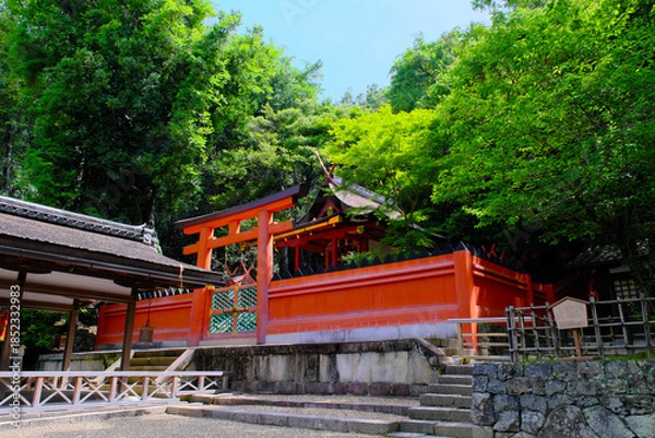 Obraz 春日大社の若宮　奈良県
