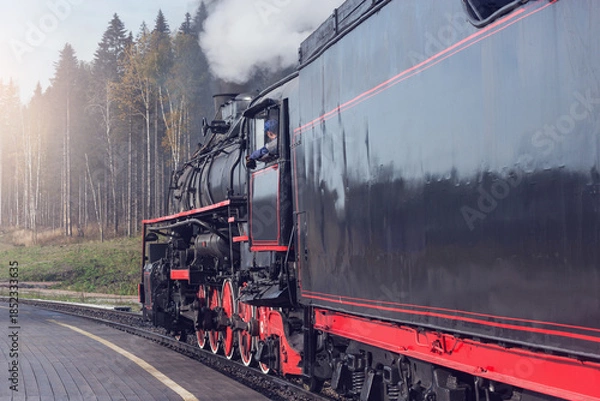 Obraz Steam train arrives to the platform.
