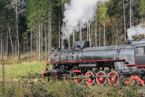 Obraz Steam train moves in the forest.