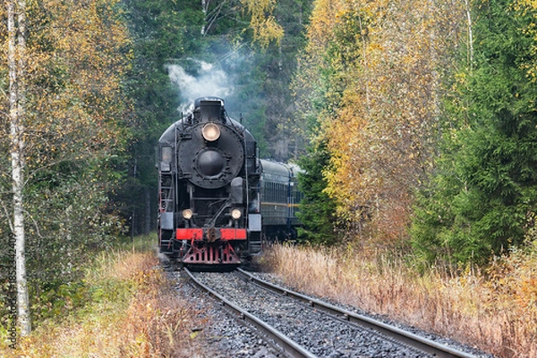 Obraz Steam train moves in the forest.