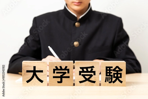 Obraz 「大学受験」と書かれたブロックと男子学生