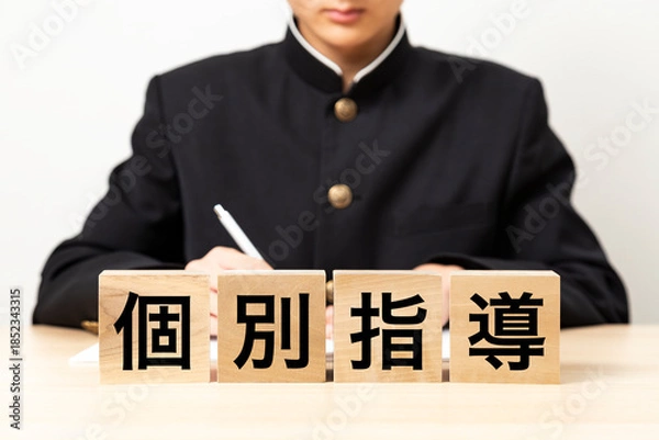 Obraz 「個別指導」と書かれたブロックと男子学生