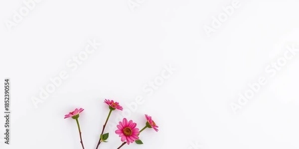 Obraz Clean, minimalist white paper texture background,  backdrop,  white