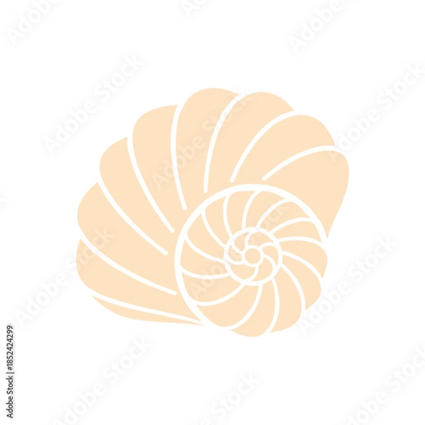 Obraz Elegant Nautilus Shell Illustration with Spiral Pattern.