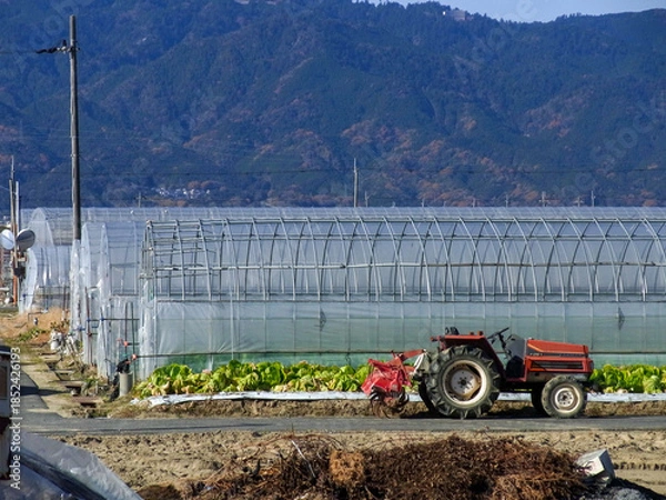Fototapeta ビニールハウスでのハウス栽培をしている農業のイメージとトラクター