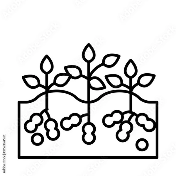 Obraz Nuts plant icon