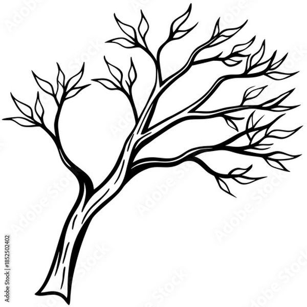 Obraz silhouette of tree