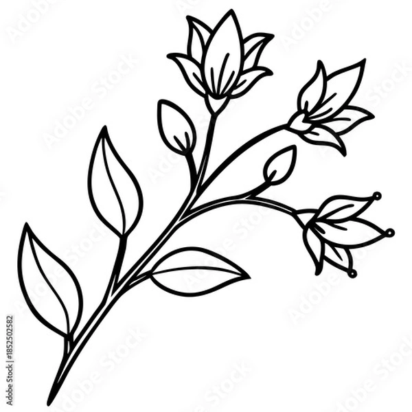 Obraz branch with leaves