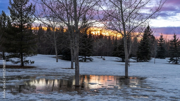 Obraz Winter warming snow meltdown landscape at sunset time