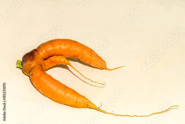Obraz Abnormal shape of carrots roots  on white background wth shadow