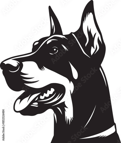 Obraz Dobermann Dog Vector	