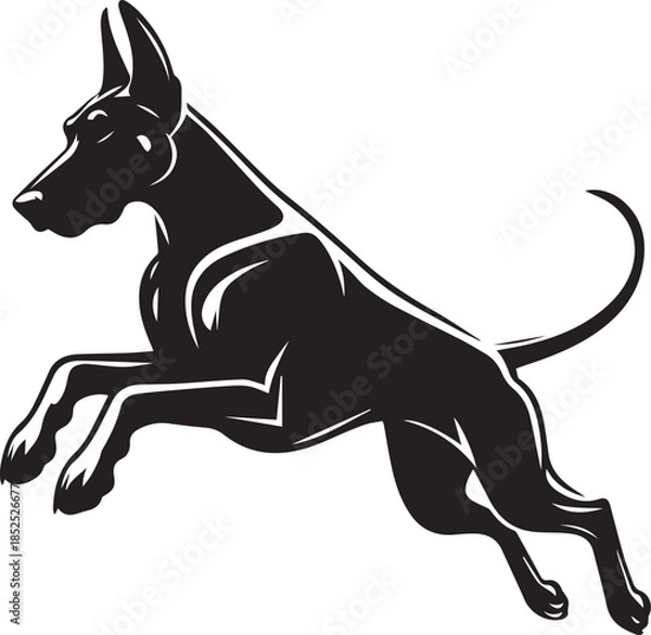 Obraz Dobermann Dog Vector	