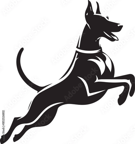 Obraz Dobermann Dog Vector	