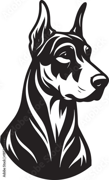 Obraz Dobermann Dog Vector	