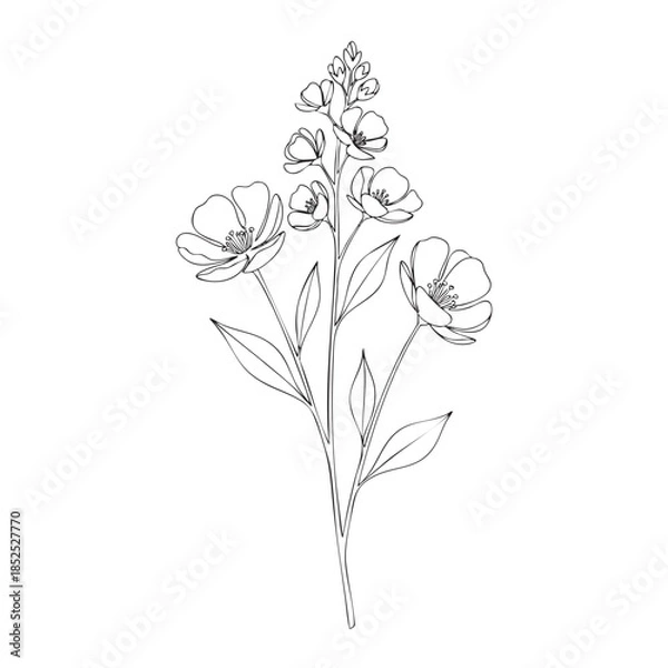 Obraz A delicate white flower with multiple petals and leaves on a thin stem