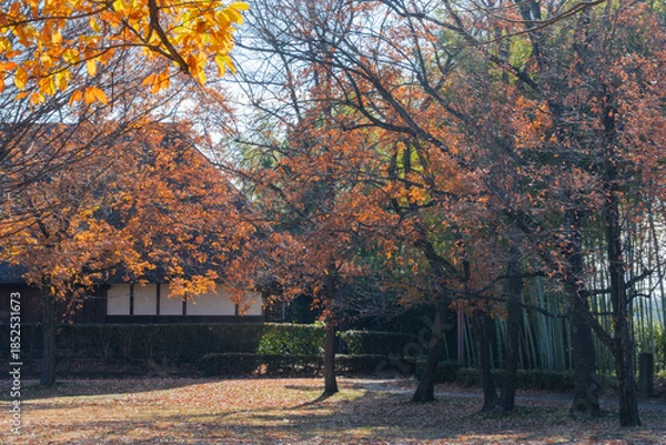 Obraz 古民家と竹林