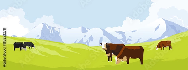 Fototapeta Cows in a meadow