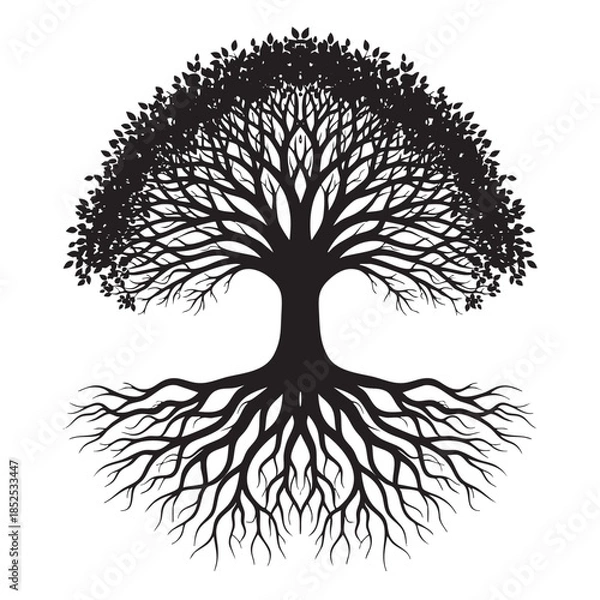 Obraz Black and white tree with extensive roots and branches on white background leaves nature