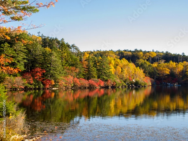 Fototapeta 白駒の池　湖畔の紅葉