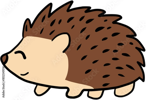 Obraz hedgehog  