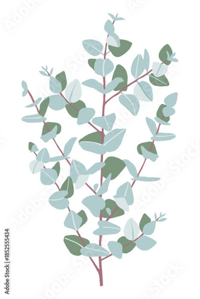 Obraz Eucalyptus baby blue branch vector
