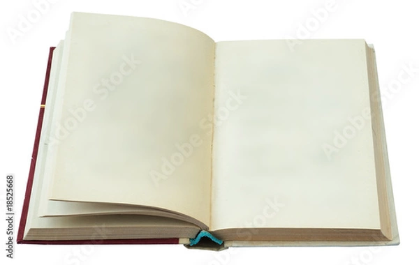 Fototapeta blank open book