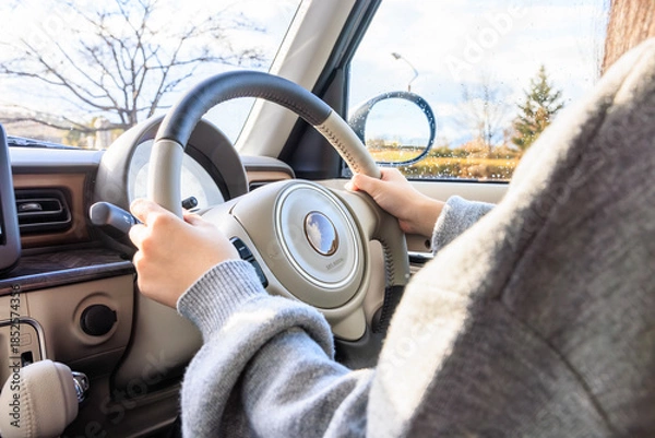 Obraz 20代 女性 車 運転 顔なし イメージ