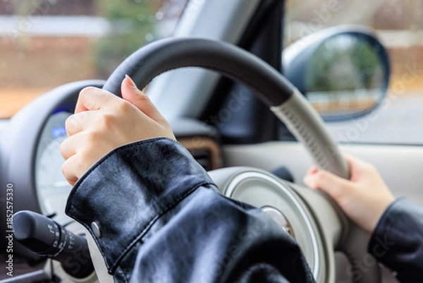 Obraz 20代 女性 車 運転 顔なし イメージ
