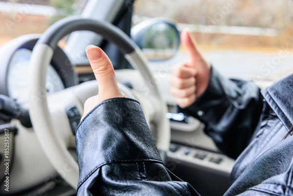 Obraz 20代 女性 車 運転 顔なし イメージ