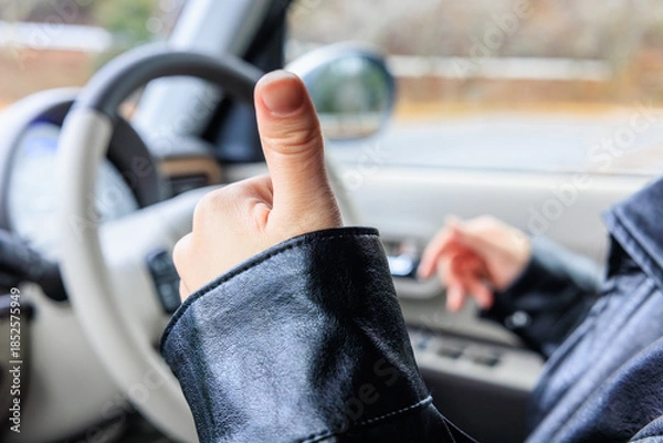 Obraz 20代 女性 車 運転 顔なし イメージ