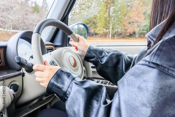 Obraz 20代 女性 車 運転 顔なし イメージ