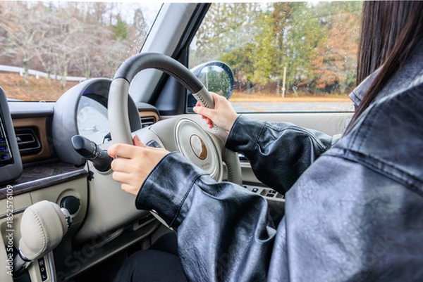 Obraz 20代 女性 車 運転 顔なし イメージ